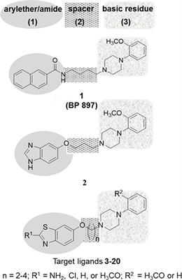 Synthesis, Molecular Properties Estimations, and Dual Dopamine D2 and D3 Receptor Activities of Benzothiazole-Based Ligands